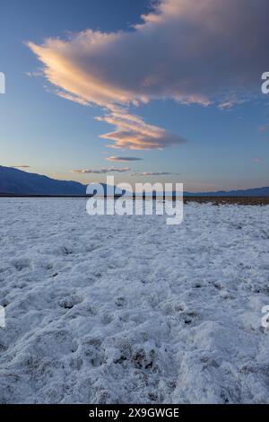 Salzmuster bei Sonnenaufgang, Badwater Basin, Death Valley National Park, Kalifornien Stockfoto