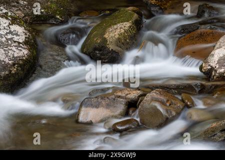 Little River entlang der Little River Gorge Road, Great Smoky Mountains National Park, Tennessee Stockfoto