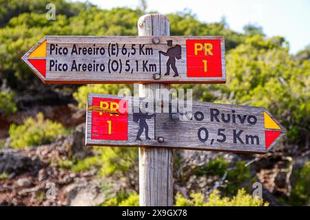 Hölzerne Orientierungsschilder zeigen die vielen Wanderwege rund um den Pico Ruivo, den höchsten Gipfel im Zentrum der Insel Madeira (Portugal) i Stockfoto