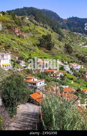 Häuser auf einem Hügel in der Nähe von Porto Moniz an der Nordküste der Insel Madeira (Portugal) im Atlantik Stockfoto