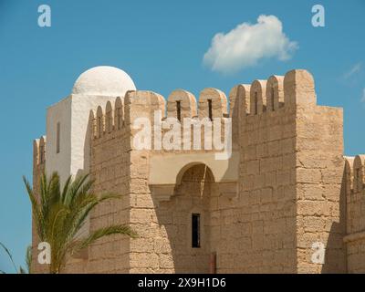 Historisches Gebäude mit weißer Kuppel und zerklüfteter Mauer, daneben eine Palme vor einem blauen Himmel, Tunis in Afrika mit Ruinen aus römischer Zeit Stockfoto