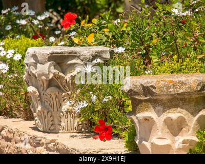 Ein mediterraner Garten mit Steinblumenkästen, roten und weißen Blumen und einer Steinmauer, Tunis in Afrika mit Ruinen aus römischer Zeit, moderne Moscheen Stockfoto