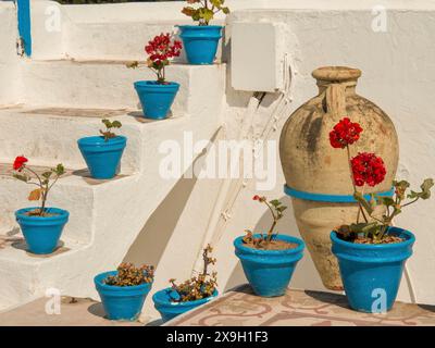 Blaue Blumentöpfe mit roten Blumen auf einer weißen Treppe und Terrasse, Tunis in Afrika mit Ruinen aus römischer Zeit, moderne Moscheen und blau-weiß Stockfoto