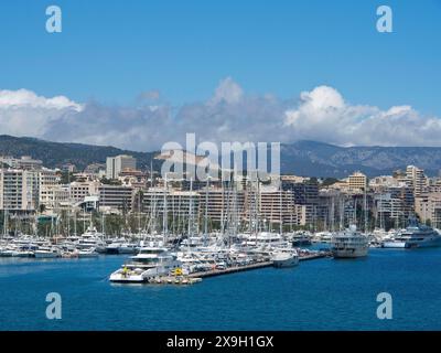 Hafen mit zahlreichen Yachten und Booten im Vordergrund und eine Stadt mit Bergen im Hintergrund unter klarem Himmel, palma de Mallorca auf dem Stockfoto