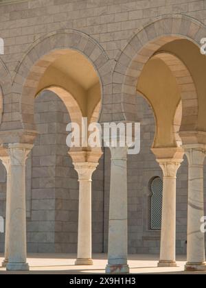 Wunderschön geschwungene SandsteinArkaden mit fein geschnitzten Säulen, Tunis in Afrika mit Ruinen aus römischer Zeit, moderne Moscheen und blau-weiß Stockfoto