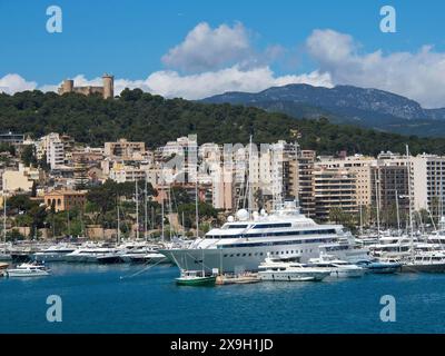 Ein Hafen mit zahlreichen Yachten vor einer Stadt mit Gebäuden und Hügeln im Hintergrund, palma de Mallorca am mittelmeer mit seinen Stockfoto