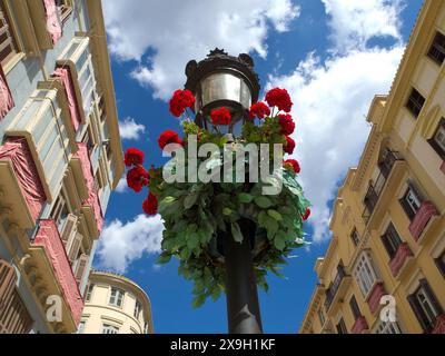 Laterne mit roten Blumen zwischen historischen Gebäuden unter blauem Himmel, Malaga am Mittelmeer mit der historischen Festung und Palmen Stockfoto