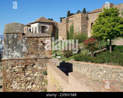 Blick auf historische Gebäude und Backsteinmauern bei sonnigem Wetter, die Stadt Malaga am Mittelmeer mit der historischen Festung und Palmen Stockfoto