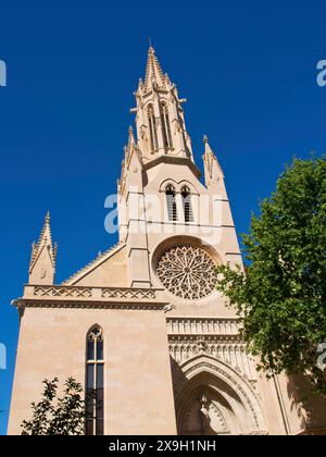 Gotische Kirchenfassade mit detailliertem Rosenfenster vor einem hellblauen Himmel, palma de Mallorca mit seinen historischen Häusern, der großen Kathedrale und Stockfoto