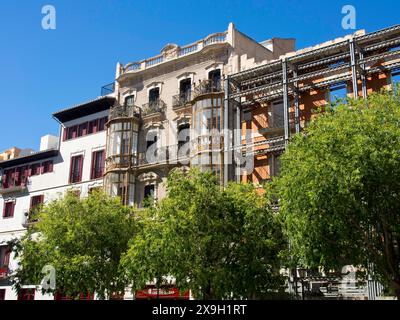 Mehrstöckiges historisches Gebäude mit Balkonfassaden und grünen Bäumen darunter, palma de Mallorca mit seinen historischen Häusern, der großen Kathedrale und Stockfoto