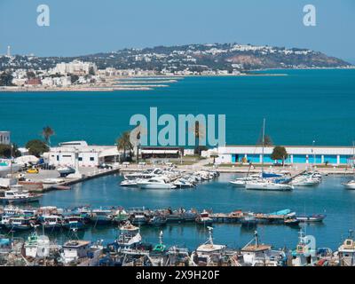 Blick auf einen Hafen mit zahlreichen Booten und Yachten, ruhiges Wasser und eine Kulisse aus Hügeln, Tunis in Afrika mit Ruinen aus römischer Zeit, moderne Moscheen und Stockfoto