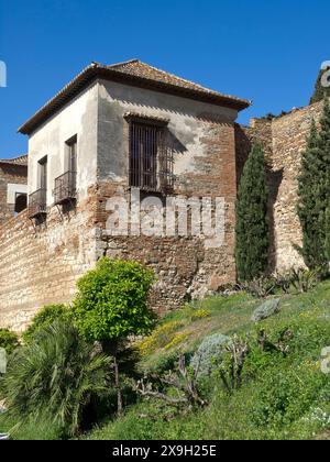 Altes historisches Gebäude mit Gitterfenster und Zypressen unter einem hellblauen Himmel, Frühling mit blühenden Blumen in Malaga mit der alten Festung Stockfoto