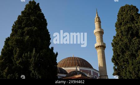 Suleiman Moschee, Moschee mit großer Kuppel und Minarett, umgeben von hohen Bäumen unter einem klaren blauen Himmel, Altstadt von Rhodos, Rhodos Stadt, Rhodos Stockfoto