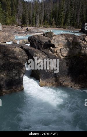 Natural Bridge ist ein Durchbruch des Kicking Horse River durch die Felsen des Yoho National Park in British Columbia in den kanadischen Rocky Mountains. Matrize Stockfoto