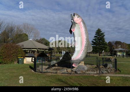 Adaminaby, New South Wales, Australien, 1. Jume, 2024, das neu gemalte Modell zeigt Oncorhynchus mykiss oder Regenbogenforellen, die aus dem Wasser springen. Stockfoto