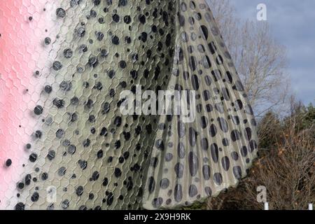 Adaminaby, New South Wales, Australien, 1. Jume, 2024, das neu gemalte Modell einer Regenbogenforelle oder Oncorhynchus mykiss in den Snowy Mountains. Stockfoto