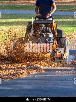 Ein Arbeiter fährt auf einem Mäher, der Blätter während der Herbstreinigung mulcht Stockfoto