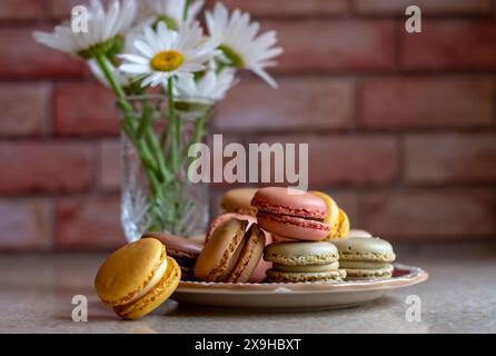 Hübscher Teller französischer Macarons mit einer Vase Gänseblümchen Stockfoto