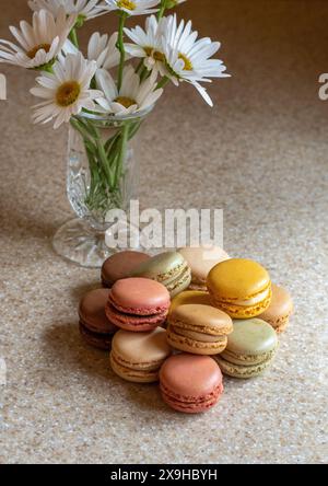 Teller Macarons mit Gänseblümchen in einem hübschen Stillleben Stockfoto