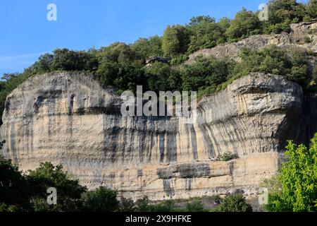 Steinhütte, Schlossmuseum, Nationalmuseum der Vorgeschichte, Fluss Vézère der prähistorischen Männer im Dorf Les Eyzies im Périgord Noir in t Stockfoto