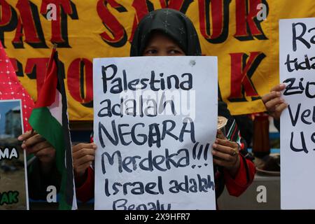 JAKARTA, INDONESIEN - 1. JUNI: Ein pro-palästinensischer Demonstrant hält ein Schild mit der Aufschrift "Palästina ist ein unabhängiger Staat. Israel ist ein Parasit" während der pro-palästinensischen Demonstration in der Front der US-Botschaft in Jakarta, Indonesien am 1. Juni 2024. Die Demonstration protestierte gegen den israelischen Militärangriff auf Rafah in Gaza. Stockfoto