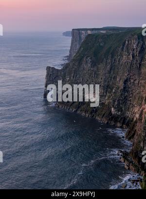 Sonnenaufgang an den Bempton Cliffs, East Yorkshire, Großbritannien Stockfoto