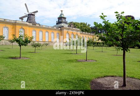 02.07.2012 neue Kammern/ Kirschgarten Deutschland/ Land Brandenburg/ Potsdam/ Park Sanssouci/Kirschgarten/ neue Kammern/ historische Windmühle *** 02 07 2012 neue Kammern Kirschgarten Deutschland Land Brandenburg Potsdam Park Sanssouci Kirschgarten neue Kammern historische Windmühle Stockfoto