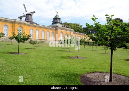 02.07.2012 neue Kammern/ Kirschgarten Deutschland/ Land Brandenburg/ Potsdam/ Park Sanssouci/Kirschgarten/ neue Kammern/ historische Windmühle *** 02 07 2012 neue Kammern Kirschgarten Deutschland Land Brandenburg Potsdam Park Sanssouci Kirschgarten neue Kammern historische Windmühle Stockfoto