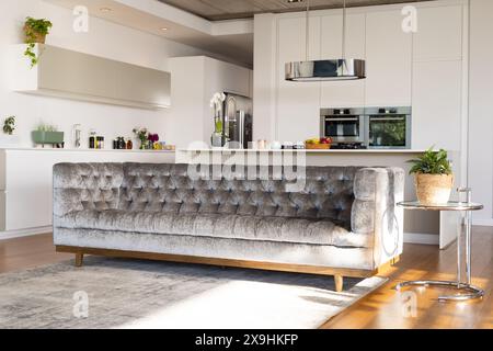 Zu Hause, moderne Küche und Wohnzimmer mit grauem Samtsofa und kleinem Beistelltisch. Heller Raum mit Pflanzen, Holzboden und eleganten weißen Schränken c Stockfoto