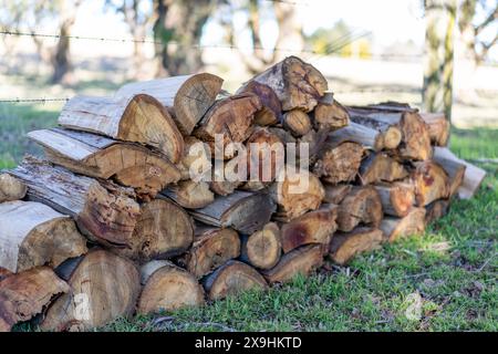 Gehackte Holzstapel vor dem winterlichen Kamin Stockfoto