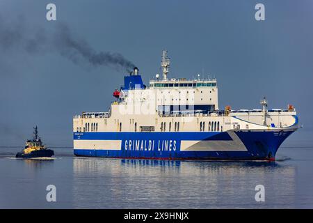 Der Fahrzeugträger Eurocargo Livomo fährt an einem ruhigen und ruhigen Tag nach Royal Portbury Stockfoto