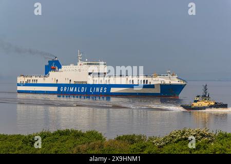 Der Fahrzeugträger Eurocargo Livomo fährt an einem ruhigen und ruhigen Tag nach Royal Portbury Stockfoto