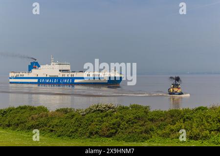 Der Fahrzeugträger Eurocargo Livomo fährt an einem ruhigen und ruhigen Tag nach Royal Portbury Stockfoto