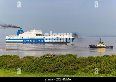 Der Fahrzeugträger Eurocargo Livomo fährt an einem ruhigen und ruhigen Tag nach Royal Portbury Stockfoto