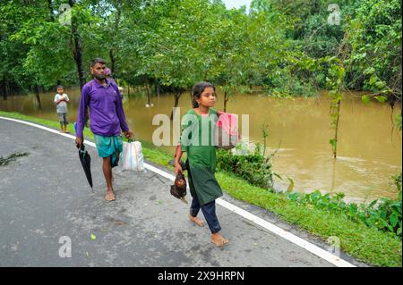 Sylhet, Bangladesch. 30. Mai 2024. In der Barhal-Gegend von Goainghat upazila wurden viele Häuser von Überschwemmungen überschwemmt, was die Bewohner zwang, woanders mit ihren Rindern und Geflügel Zuflucht zu suchen. Starke Regenfälle vom Zyklon Remal haben Überschwemmungen aus den Bergen von Meghalaya verursacht, indem sie Jaintapur, Goainghat, Kanaighat und Jakiganj upazilas überschwemmen und etwa drei Menschen am See einsperren. Stockfoto