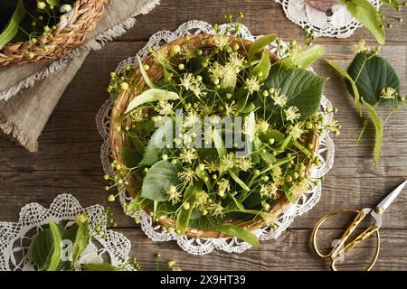 Frische Linde oder Tilia Cordata Blumen in einem Korb auf einem rustikalen Holztisch, Blick von oben Stockfoto