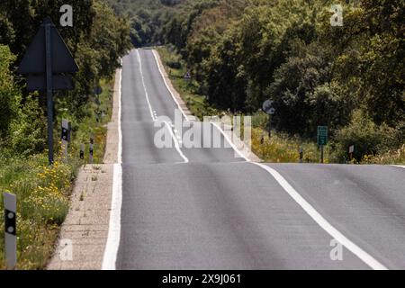 Einsame Straße durch den Wald, in der Nähe von Cala - Sierra de Los Gabrieles -, Huelva, Andalusien, Spanien. Stockfoto