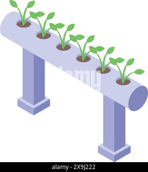 Graphische isometrische Darstellung eines hydroponischen Zuchtsystems mit Jungpflanzen Stock Vektor