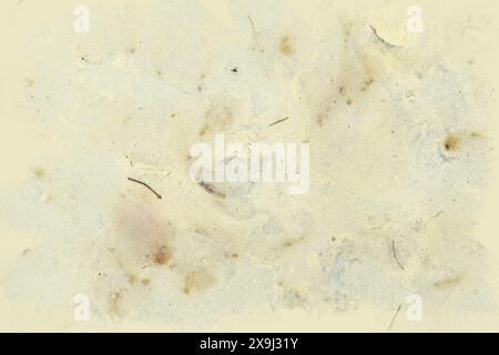 Handgefertigter gelber Papierhintergrund. Es sind Pflanzenstücke im Papier. Stockfoto