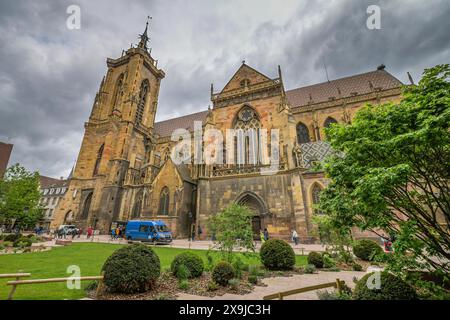 Martinsmünster, Collégiale Saint-Martin, Colmar, Elsass, Frankreich Stockfoto