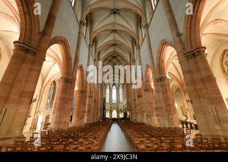 Innenraum, Hauptschiff, Martinsmünster, Collégiale Saint-Martin, Colmar, Elsass, Frankreich Stockfoto