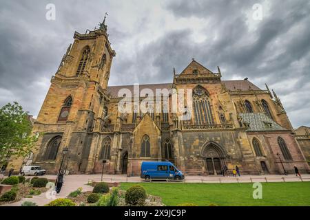 Martinsmünster, Collégiale Saint-Martin, Colmar, Elsass, Frankreich Stockfoto