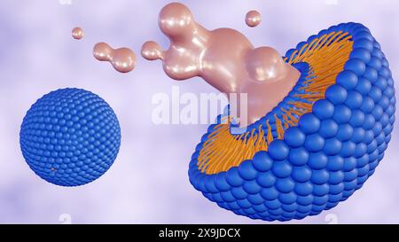 3D-Darstellung eines kompromittierten Liposoms unter Freisetzung seines Inhalts. Vergrößertes Bild eines Liposoms mit Leckage seines eingekapselten Materials. Stockfoto