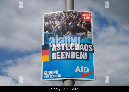 AFD, Wahlplakat zur Europawahl 2024, Berlin, Deutschland Stockfoto