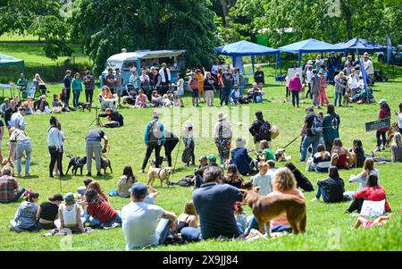 Brighton UK 1. Juni 2024 - Hunde und ihre Besitzer nehmen am ersten Sommertag in Queens Park in Brighton an der Hundeshow Bark in the Park Teil: Credit Simon Dack / Alamy Live News Stockfoto