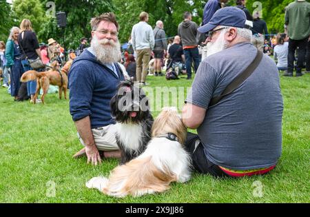 Brighton UK 1. Juni 2024 - Hunde und ihre Besitzer nehmen am ersten Sommertag in Queens Park in Brighton an der Hundeshow Bark in the Park Teil: Credit Simon Dack / Alamy Live News Stockfoto