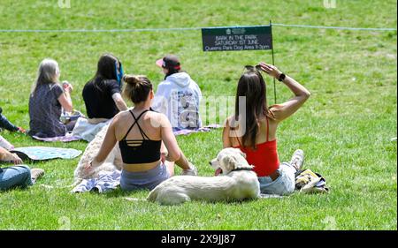 Brighton UK 1. Juni 2024 - Hunde und ihre Besitzer nehmen am ersten Sommertag in Queens Park in Brighton an der Hundeshow Bark in the Park Teil: Credit Simon Dack / Alamy Live News Stockfoto