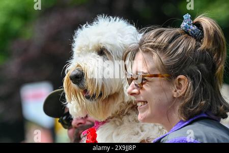 Brighton UK 1. Juni 2024 - alle lachen, während Hunde und ihre Besitzer am ersten Sommertag an der Show „Bark in the Park“ teilnehmen, die bei Sonnenschein im Queens Park Brighton stattfindet: Credit Simon Dack / Alamy Live News Stockfoto