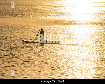 Eine Silhouette einer Person, die bei Sonnenuntergang auf einem ruhigen Gewässer paddelt. Die untergehende Sonne wirft ein goldenes Licht auf das Wasser und schafft ein heiteres Bild Stockfoto