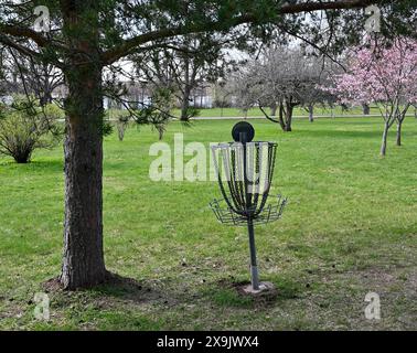 Golf Frisbee Korb im Park im Frühjahr Stockfoto